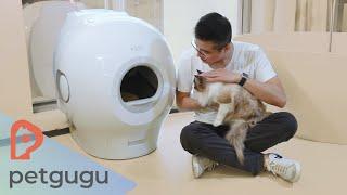 Petgugu Smart Cat Toilet Review: You Really Don’t Need to Scoop Again!