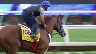 2017 Breeders' Cup World Championships - Gunnevera