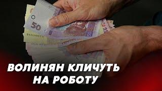 ️Волинян КЛИЧУТЬ на роботу: які є вакансії і яку зарплату пропонують