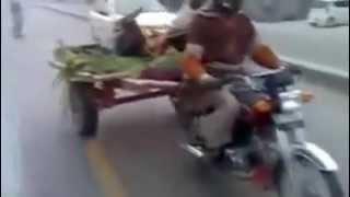 Donkey on MotorBike.mp4