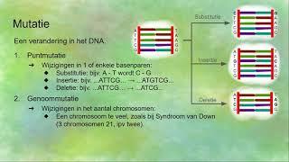 Mutaties (puntmutaties en genoommutaties) en tumoren