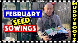 217  February Seed Sowings   Pricking Out  Vegepod Plans