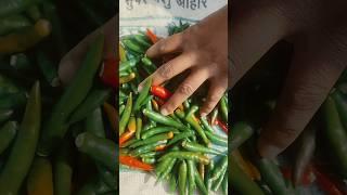 Mirchi ka achar #trending song #ytshorts #cookingfood #satvikrasoi