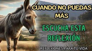 Cuando SIENTAS Que NO PUEDES Más | Una Reflexión Que Cambiará Tu Día | reflexión gratitud motivación