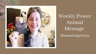 Sept 14-20, 2024: Weekly Power Animal Message And Crystal Healing Talisman. Loon symbolism