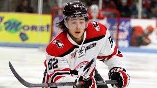 2013-14 USHL Player and Defenseman of the Year: Brandon Montour