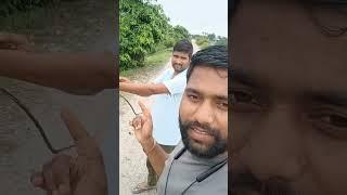 नदी के तट पर #akashsinghmourya #vlog #vlogs #shorts #reelsl #trend #views #ytshorts #youtubeshort
