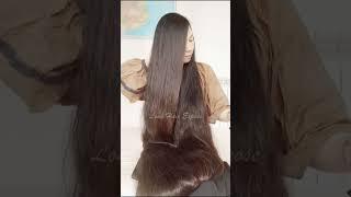 Long Hair Expose | #shortsvideo #longhair #longhairponytail #longhairasian  #domesticlonghair