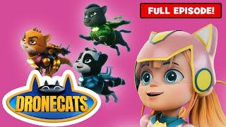 DRONECATS: Meow You See Me! | Superhero Cartoon | Mission 2