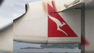 Snake on a Plane: Huge python clinging to aircraft wing in mid-air