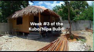 Week #3 of the Kubo/Nipa Build: What Got Done?