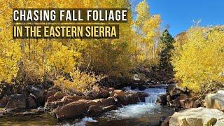 Chasing Fall Foliage in the Eastern Sierra: A Must-Do Along Highway 395