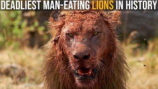 The Most Deadly Man-Eating Lions In History