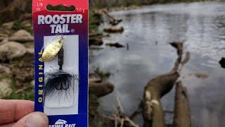 Trout Fishing with 1/8 oz Rooster Tail with Success (glitter black)