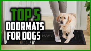 Top 5 Best Doormats for Dogs Reviews 2024