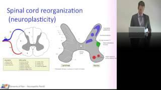 14. Neuropathic pain