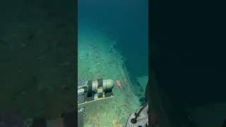 Deep ocean technology offers never before seen images of lost WWI submarine