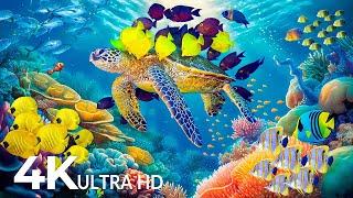 Dive Into the Mesmerizing Underwater RealmMarvel at Sea Animal in The Best 4K ULTRA HD Aquarium #25