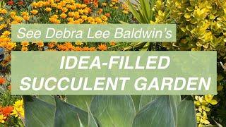 See Debra Lee Baldwin's Own Idea-Filled Succulent Garden