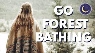 Forest Bathing Meditation | Guided Meditation for Peace & Immunity