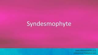 Pronunciation of the word(s) "Syndesmophyte".