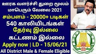 #tnjob Tamilnadu DIMH Recruitment 2021 | Dispenser and Therapeutic Assistant Post | TN Job Today