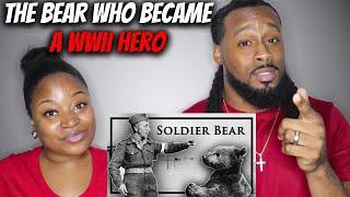 American Couple Reacts "The Bear Who Became A Cigarette Smoking, Beer Drinking WWII Hero"