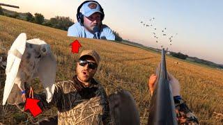 Pigeon Hunt Over Cut Wheat (ft. Joe Heintz) | 50+ BIRDS & BAND!!