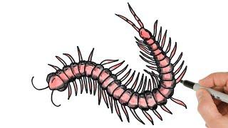 How to Draw a Centipede / Watercolor Painting Techniques