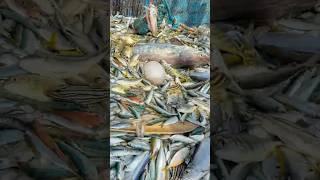 Wow‼️ Deep Sea Jackpot: Reeling in the Unexpected‼️