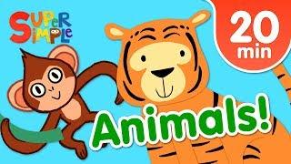 Our Favorite Animals Songs For Kids | Super Simple Songs
