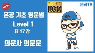 17강 의문사 의문문/혼공 기초 영문법 Level 1/영어 공부는 혼공TV