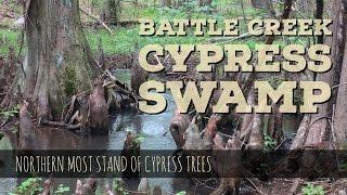 Battle Creek Cypress Swamp - Prince Frederick, Maryland