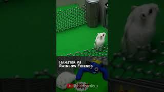 Hamster vs Blue Monster in Rainbow Friends Maze  #shorts