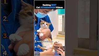 Ranking Best Cat Veterinarian Videos