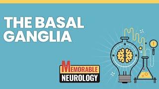 Basal Ganglia Mnemonics (Memorable Neurology Lecture 4)