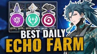 Save Time with this Daily Echo Farm! | 30 Minutes or Less