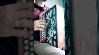ЧАСТУШКИ НА ГАРМОНИ #баянпобратски #кариммуратов #частушки #нагармони