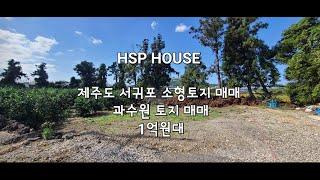 제주도 영어교육도시 인근 소형 토지 매매 / 제주도 국제학교 인근 소형토지 매매 /제주도 서귀포 소형토지 매매 /제주도 토지 매매