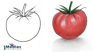 How to Draw Tomato Step by Step (So Easy)