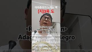 아마추어 호른 주자가 한계를 느낄 때ㅣSchumann-Allegro and adagio for Horn