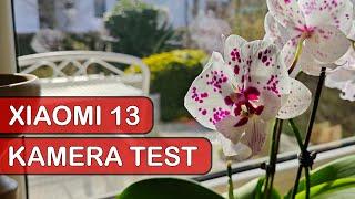 Xiaomi 13 Kamera Test: Was kann die neue Leica Kamera?