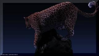 3D Leopard (HD)