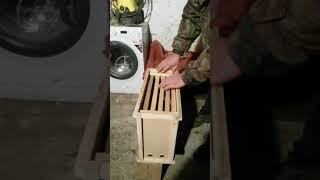 Пчелопакет своими руками