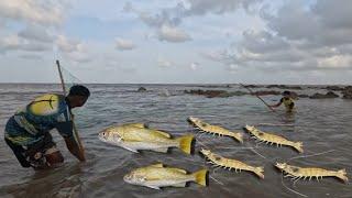 बोटी बंद झाल्यानंतर पहिल्यांदा गेलो किनाऱ्यावर मासेमारी करायला. Beach fishing. Mumbai Indian fishing