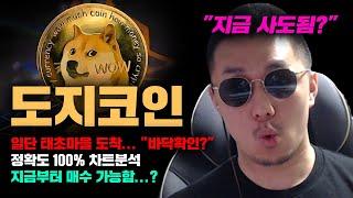 도지코인 [긴급] 일단 태초마을 도착했다... "바닥확인" 끝난걸까...? 정확도 100% 차트분석, 지금부터 매수가능함? #코인시황