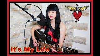 Bon Jovi - It's My Life (Live Acoustic Cover) by Dana Marie Ulbrich #bonjovi #itsmylife #acoustic