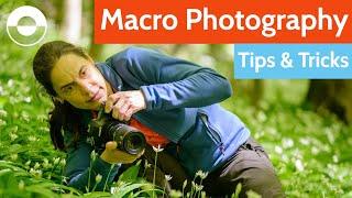 Macro Photography Tips and Tricks! (Camera Settings, Equipment, Diffuser + Mirror Hack!)