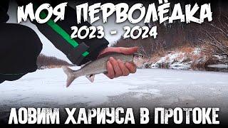 Моя перволедка 2023 2024 / Ловим хариуса в протоке