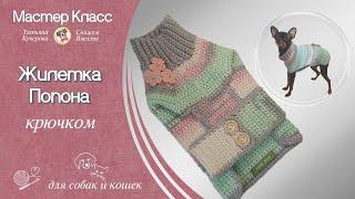 Жилетка крючком, DIY crochet vest for dog